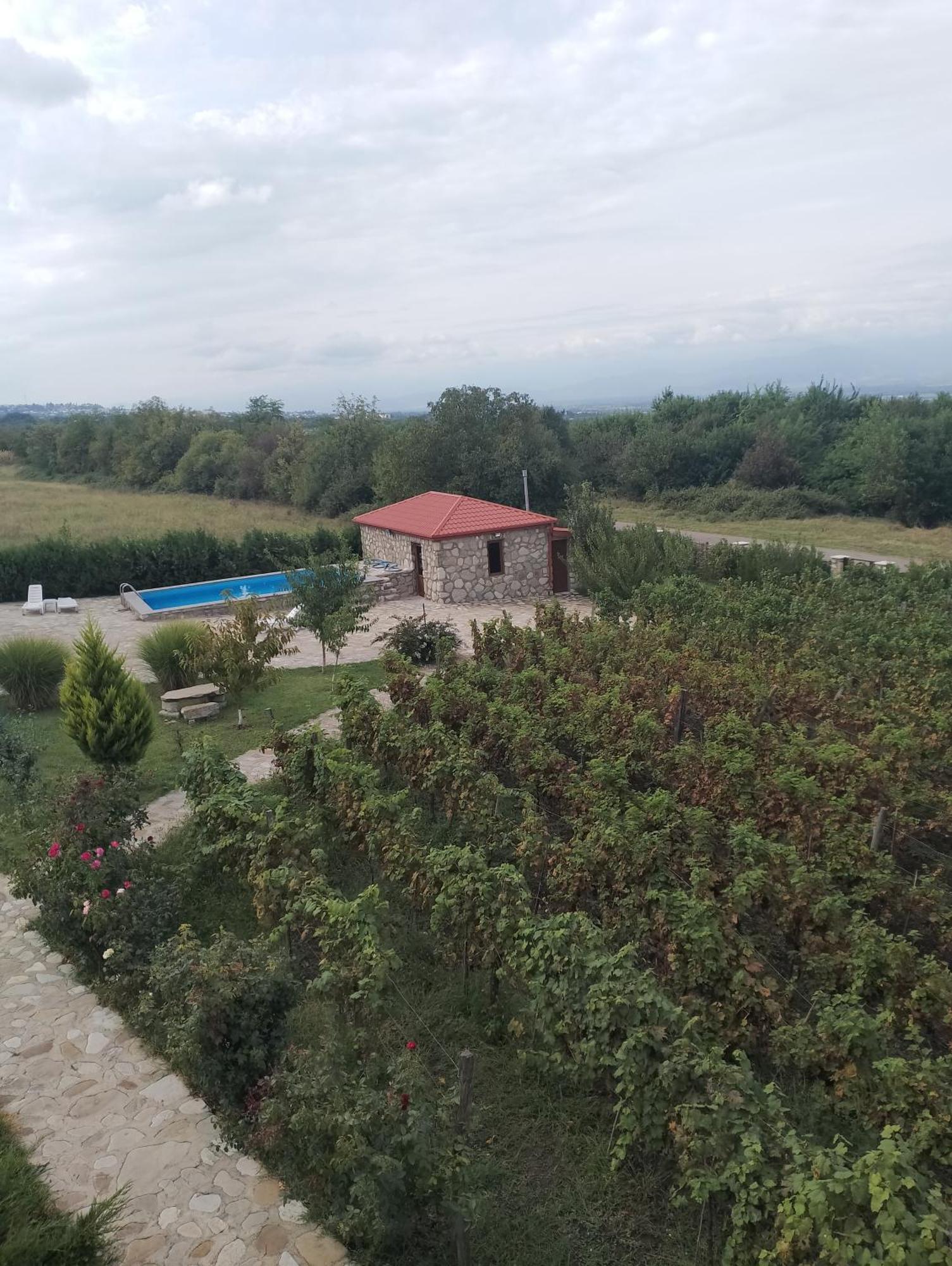 Chateau Tetri Bairagebi White Flags Kisiskhevi Экстерьер фото