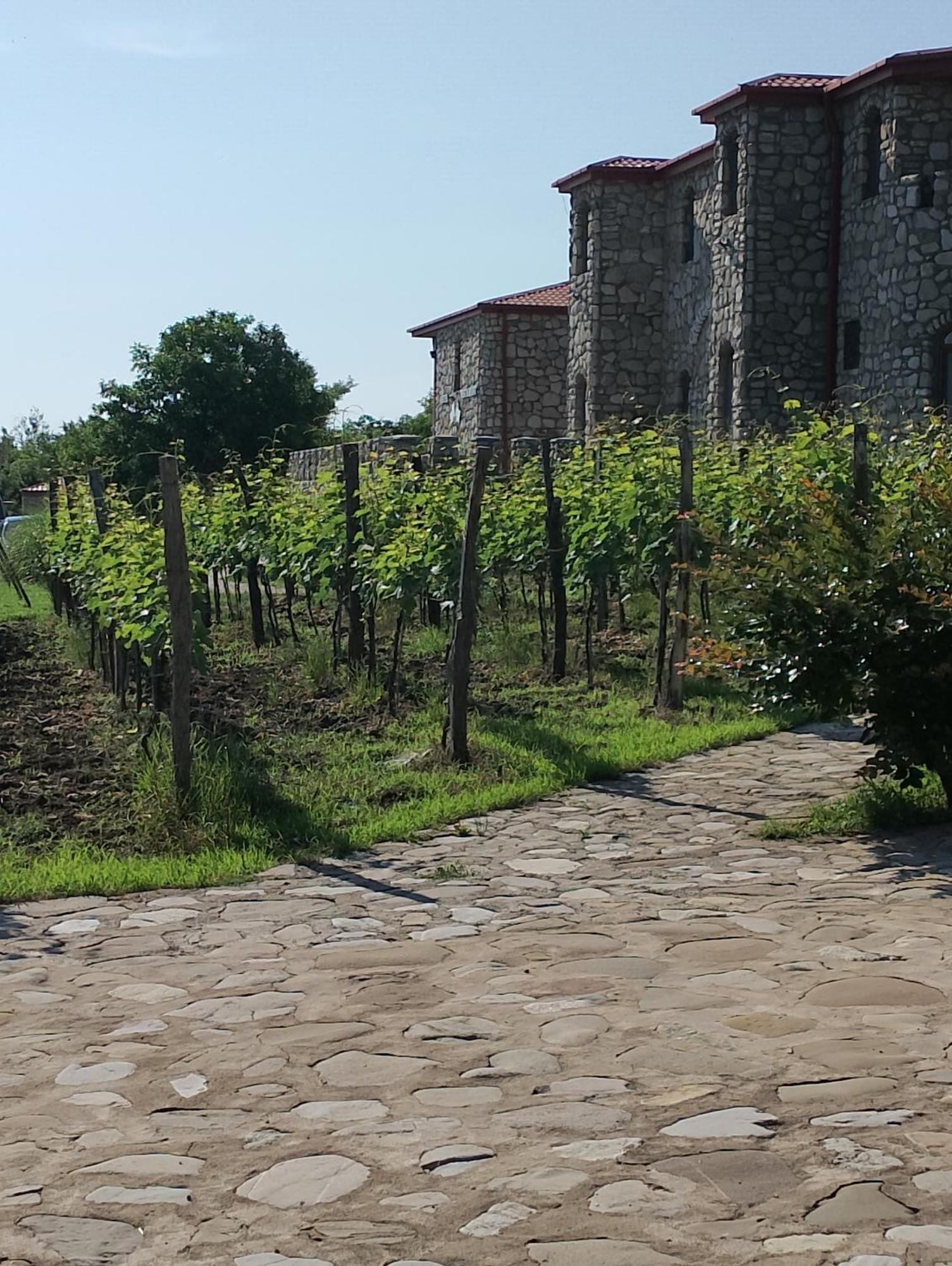 Chateau Tetri Bairagebi White Flags Kisiskhevi Экстерьер фото